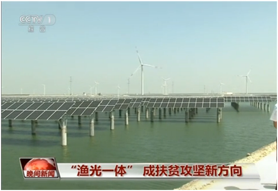 这家企业厉害了： 三年时间十一次登上央视《新闻联播》和《晚间新闻》